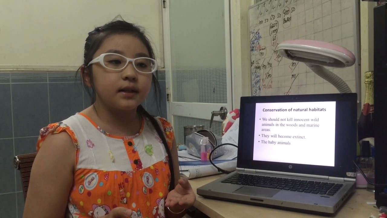 Social Studies Why Should We Protect Wildlife Animals YouTube