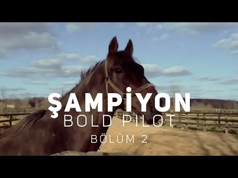 şampiyon: bold pilot [bölüm 2]