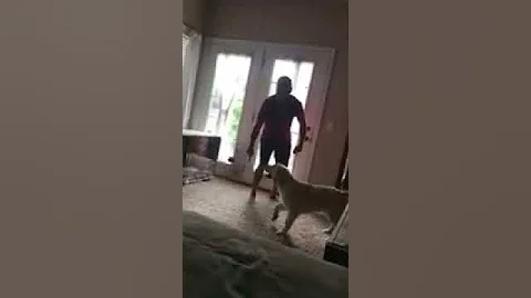 Leo trying to learn the art of catching the ball. ...