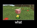 Minecraft wait what meme part 91 (pig bee)