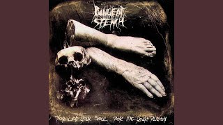 Video thumbnail of "Pungent Stench - For God Your Soul... For Me Your Flesh"