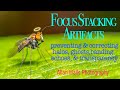 Focus-Stacking Artifacts - Prevention & Correction