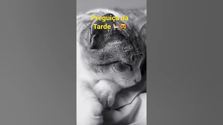 Watch the video about Preguiça da Tarde 🐈😻 #pets #love #cat #cats #gatos #funny #funnycats #familia #family #pet #gato