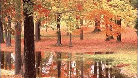 سورة الإنشقاق للشيخ سعود الشريم