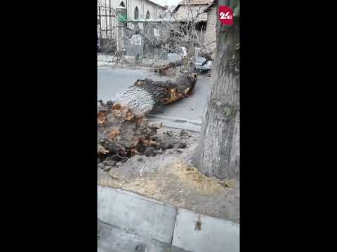 YouTube видео