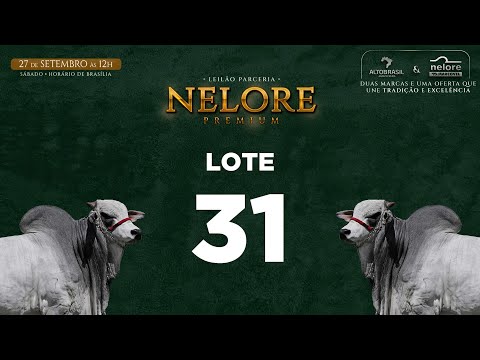 LOTE 31   MNS 13446
