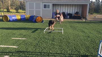 Casey A frame - box 1