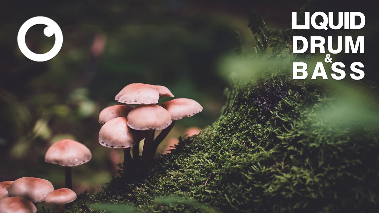 Liquid Drum & Bass Mix 2020 #31