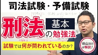 【谷山政司講師が解説！】司法試験・予備試験「刑法」の基本の勉強法｜アガルートアカデミー