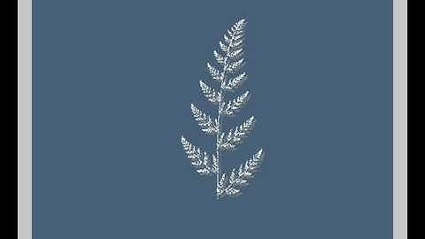 Rebol fractal generator Barnsley