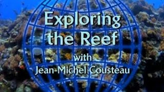Watch Exploring the Reef Trailer