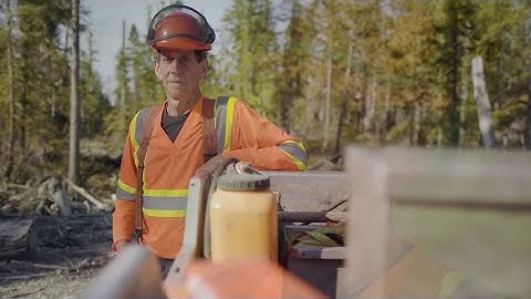 Supervision in Manual Falling: Champions for Change | WorkSafeBC