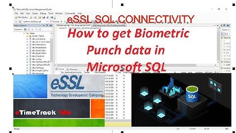 ESSL SQL DATABASE CONNECTIVITY How To Download Logs in Parallel Database | eSSL eTimeTracklite 11.2