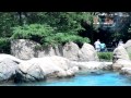 Bronx Zoo: Astor Court- Sea Lions [Part 2 of 2]