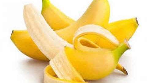 TLV-Tiết 48-Luyện tập xây dựng đoạn văn miêu tả cây cối