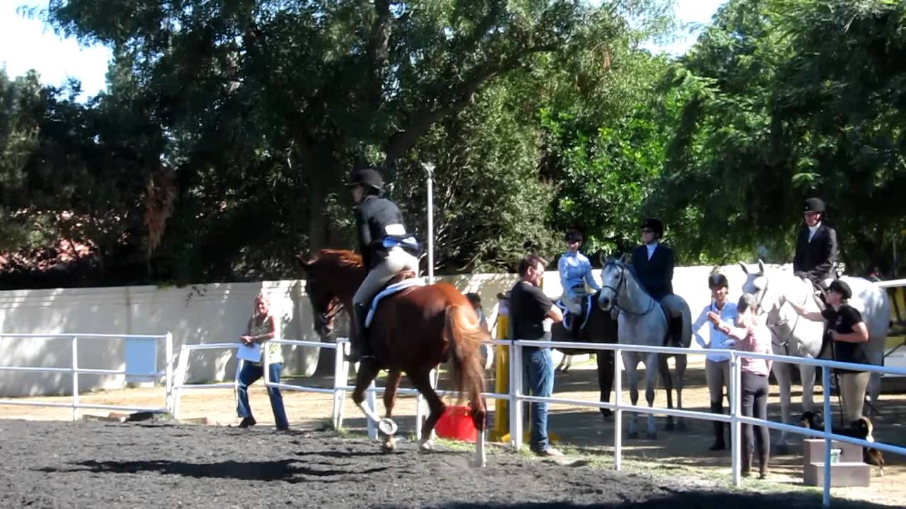 Paddock Riding Club The Paddock Riding Club - YouTube