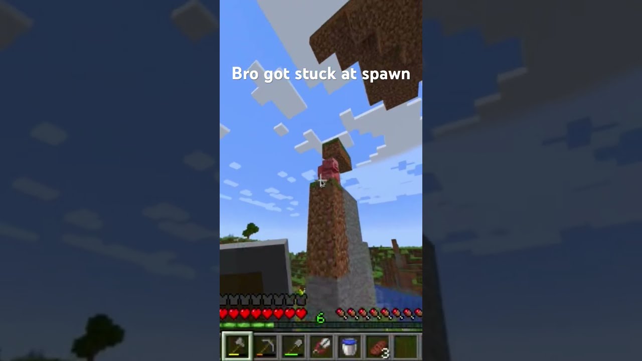 Pig Low Key Got Stuck At Spawn Sub If You Feel Bad And I Might Save It Minecraft Memes Gaming