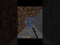 Parrot Dance ahh #minecraft #minecraftshorts #parrot #coal