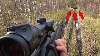 Successful season opening moose hunting. How to do it in Russia.