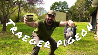 PIGEON SHOOT | CATCH, CLEAN, COOK screenshot 2