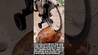 두꺼운 벽돌 벽과 바위 절단을 위한 전문 석재 커팅기 사용법 #worker #process #construction #machinery #skills