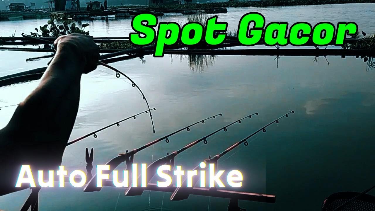 Spot Gacor Auto Full Strike || Mancing Saguling Terbaru
