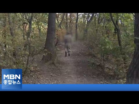 Stealing Boars from Others to Claim Bounty... Even Digging Up Buried Ones to Report [News Summary]