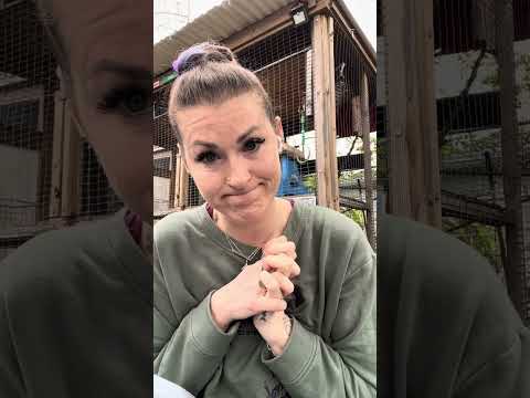Kinkatopia: 2 Major Life Changes