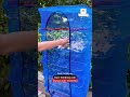 Easy Storage Foldable Net – Compact &amp; Lightweight"#shorts #ytshorts #trending #viral #shortvideo