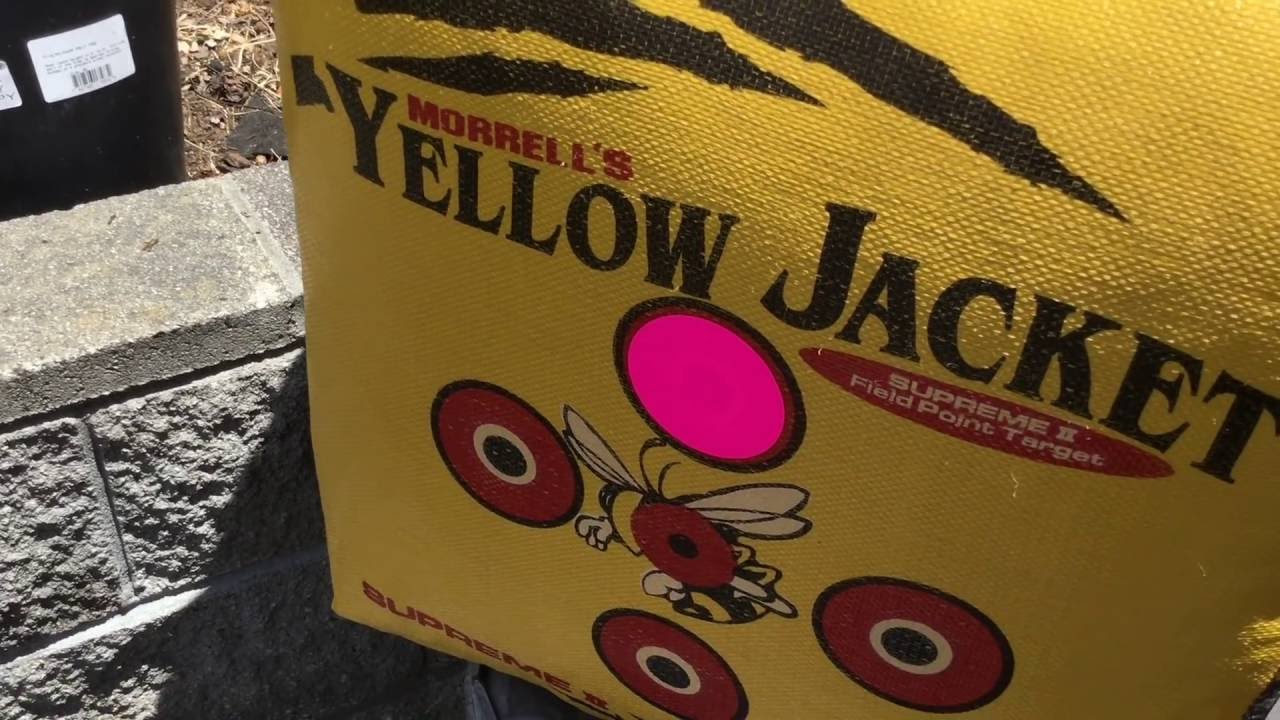 Morrell's Yellow Jacket Archery Target Review YouTube