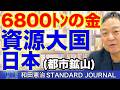 日本は世界有数の資源国?!都市鉱山に眠る6800トンの金と日本の価値|和田憲治 スタンダードジャーナル