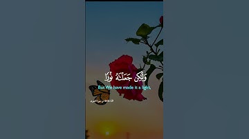 سورة الشورى  وَكَذَلِكَ أَوْحَيْنَا إِلَيْكَ رُوحًا مِنْ أَمْرِنَا مَا كُنتَ تَدْرِي مَا الْكِتَابُ