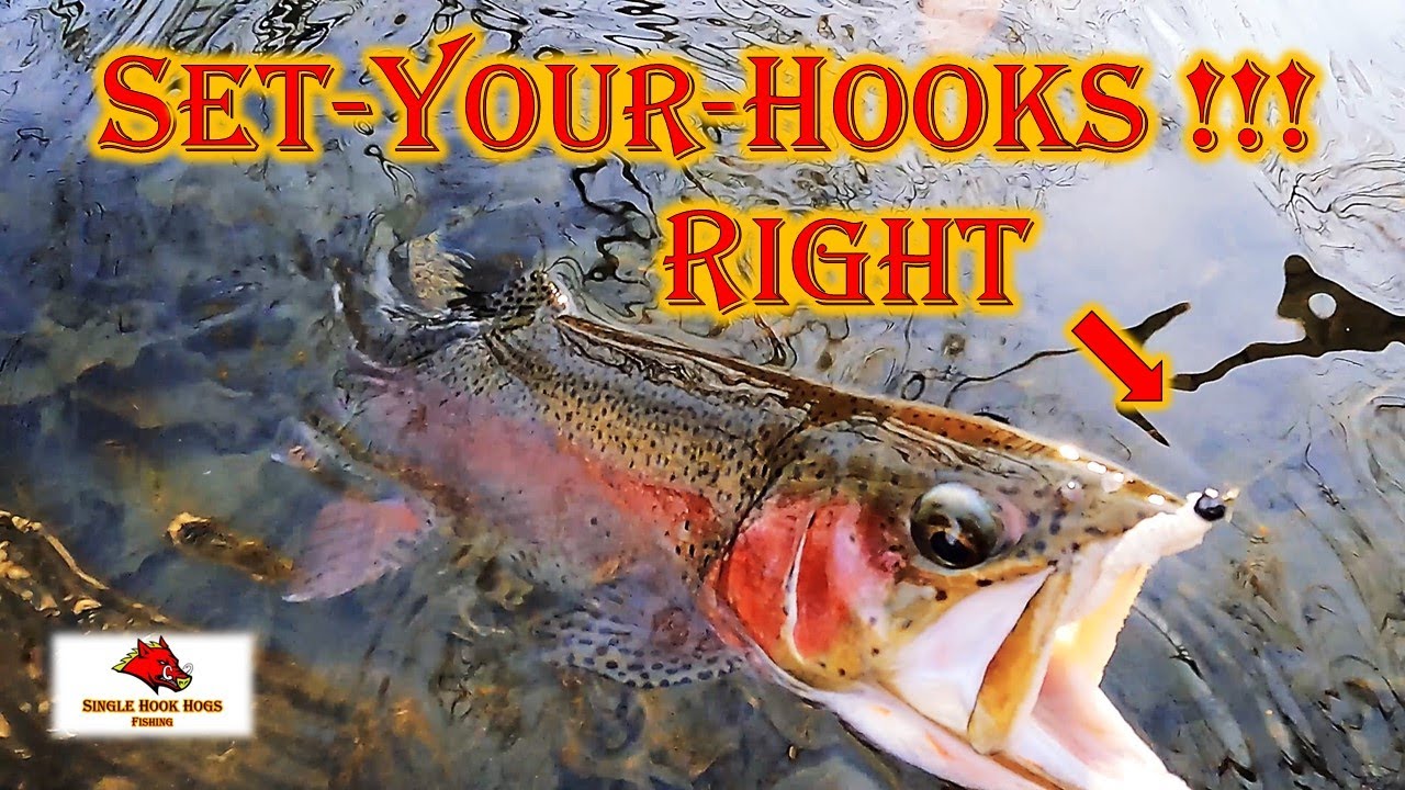 Trout-Fishing TIPS !!! [ How To SET-THE-HOOK ] What Hooks To