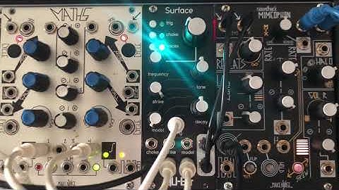 Qu-Bit Surface & Make Noise Mimeophon
