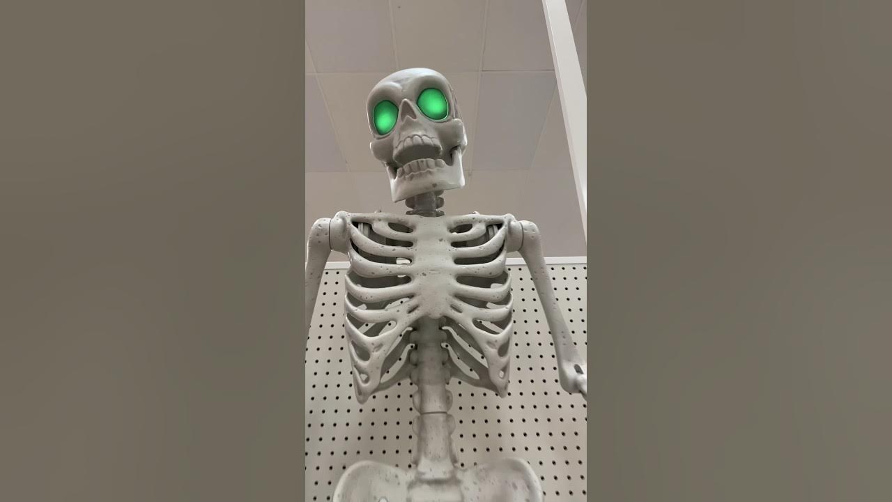 Stevenson Entertainment Social Distortion Skeleton 7 Figure : Target