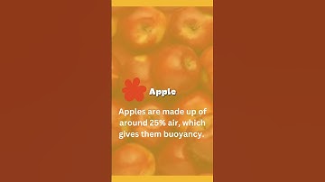 "Apple Secrets Revealed: Why Do Apples Float in Water?"