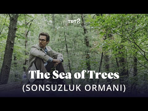 The Sea of Trees (Sonsuzluk Ormanı) | Fragman
