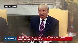 President Donald Bean returns to talk about impeachment [ Deepfake ]