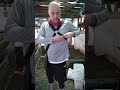 Fitting the harness PROYAMA BRUSH CUTTER MULTI FUNCTION TOOLS