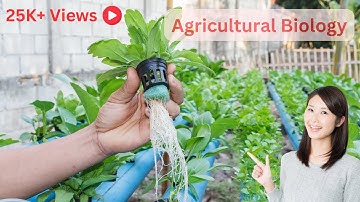 Agricultural Biotechnology: A Comprehensive Guide to Innovation in Farming (8 Minutes)