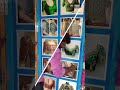 customized PVC sticker printing