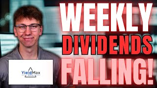 ULTY isn't Alone! YieldMax Weekly Dividend ETFs are FALLING!