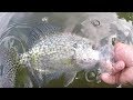 Crappie Fishing With A Jig and Bobber