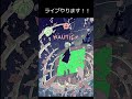 ライブやります！！🎸