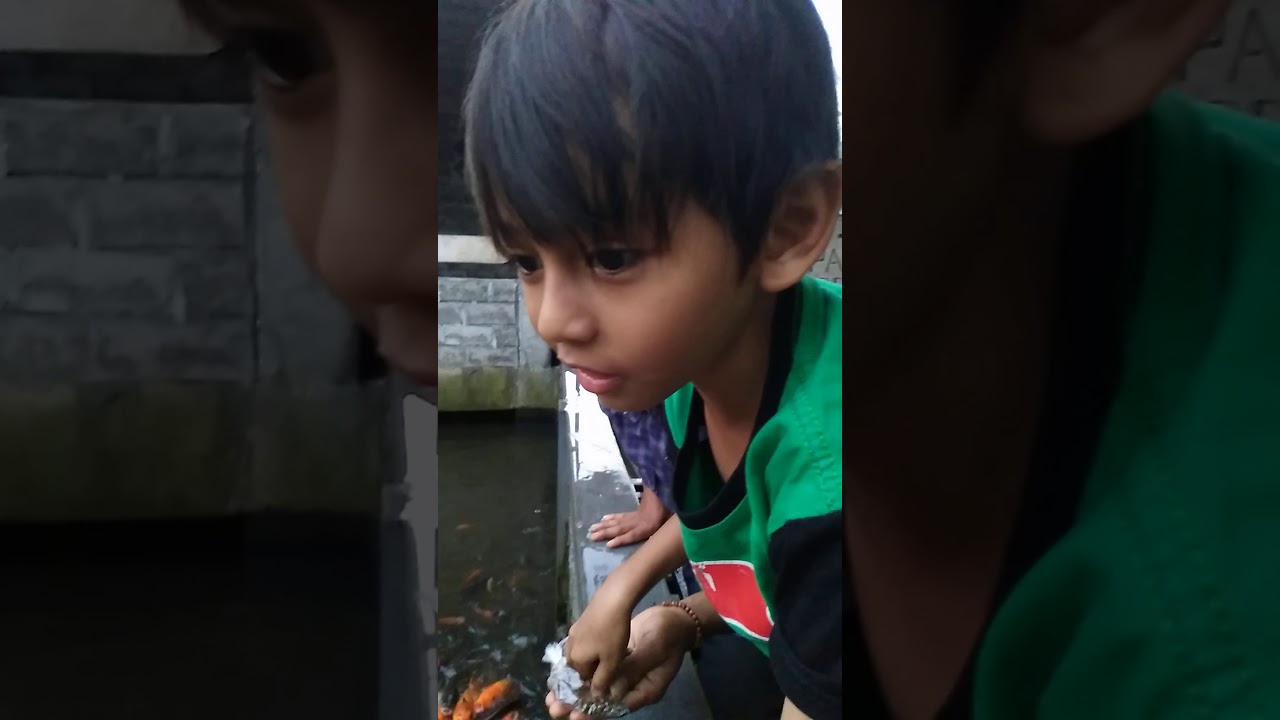 Mas umay dan ikan mas yang manja...