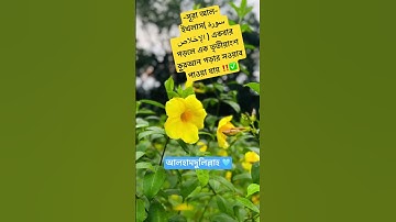 সূরা আল-ইখলাস( سورة الإخلاص )এর ফজিলত ✅‼️ #viralvideo #foryou #hadisbangla #ওয়াজ_মাহফিল #waz #oc