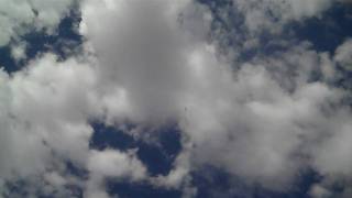 Neil Wallis At The Commands Of A T Rex 700 Nitro Saturday September 19Th 2009