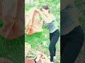 Сбор урожая груш отправляется на продажу на сельский рынок.. #Shorts #raw_bodycam