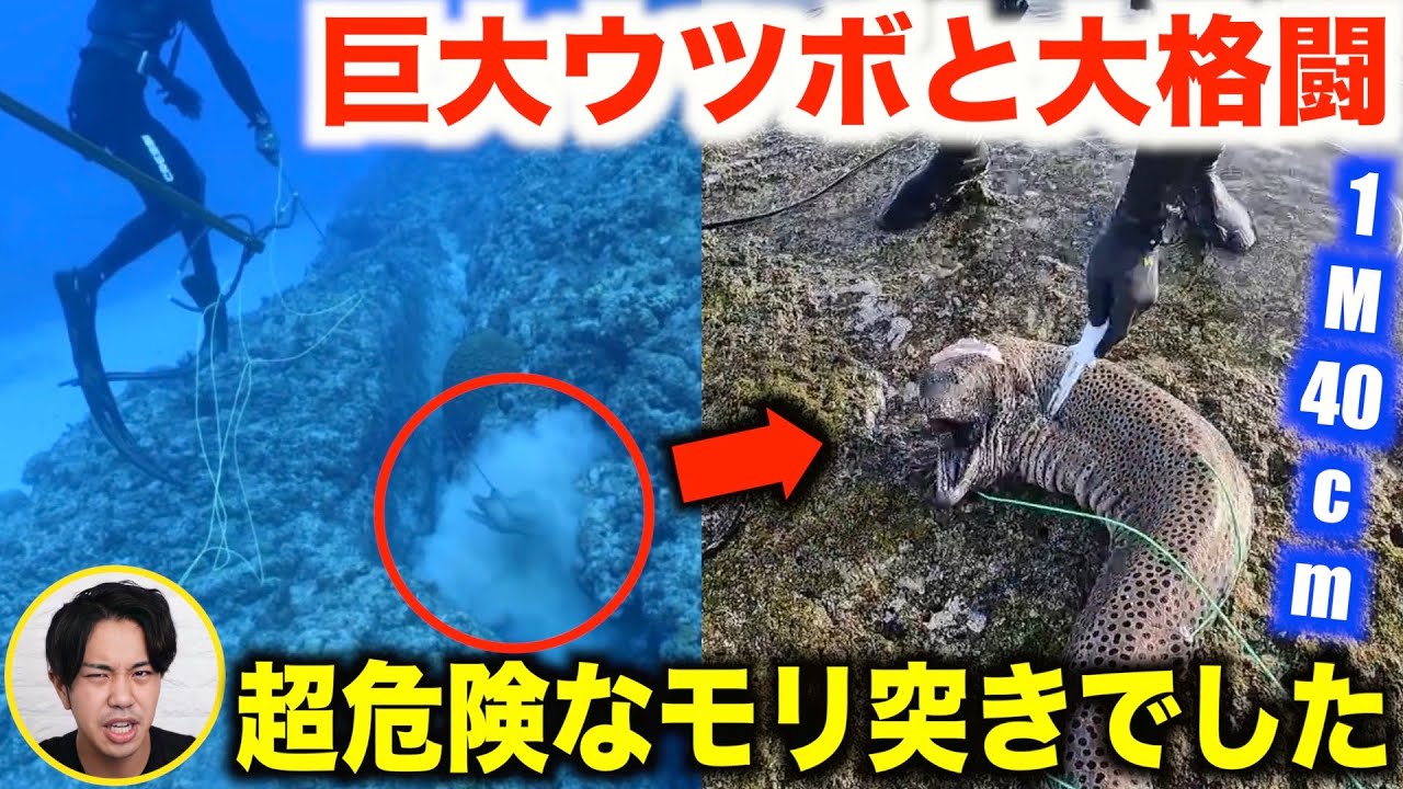 ⁣【超危険】人間サイズの巨大ウツボとマサルの格闘シーン【素潜り漁師マサル/切り抜き/サバイバル/Masaru/寄生虫/コラボ/無人島/サメ/イソマグロ/シガテラ/沸騰ワード10/テレビ/魚突き/ナマコ】