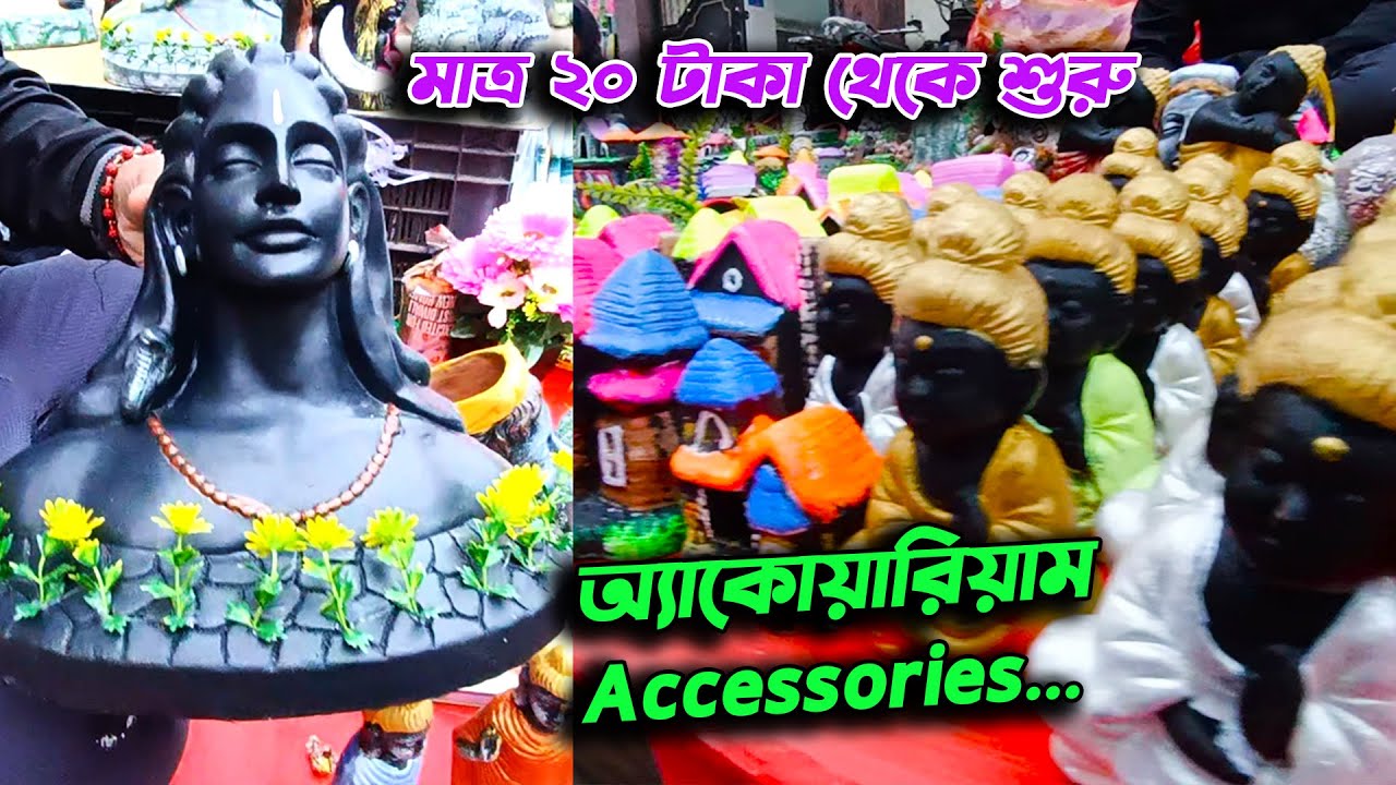 AQUARIUM FISH WHOLESALE MARKET AT GALIFF STREET Deep Das 6289972819